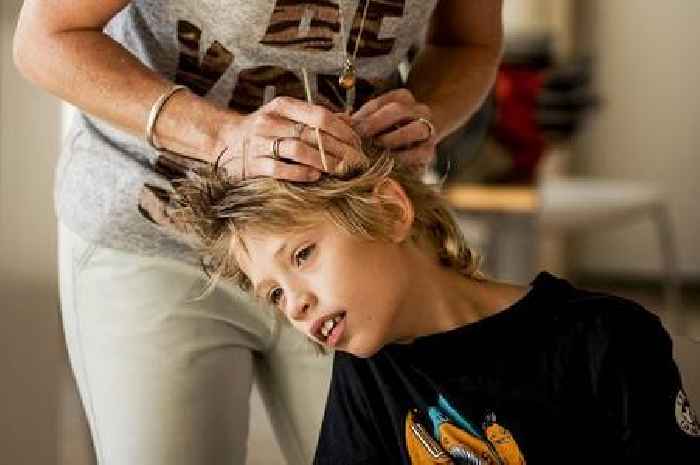 Head lice warning issued as children return to school and parents at risk