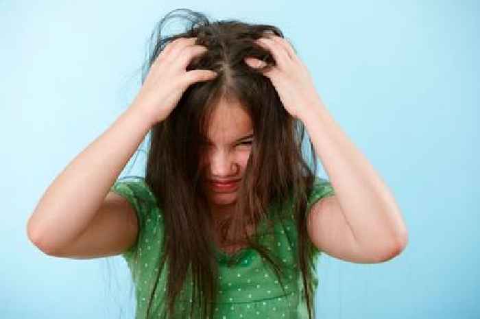 GP issues head lice warning as cases in kids expected to soar with the new term