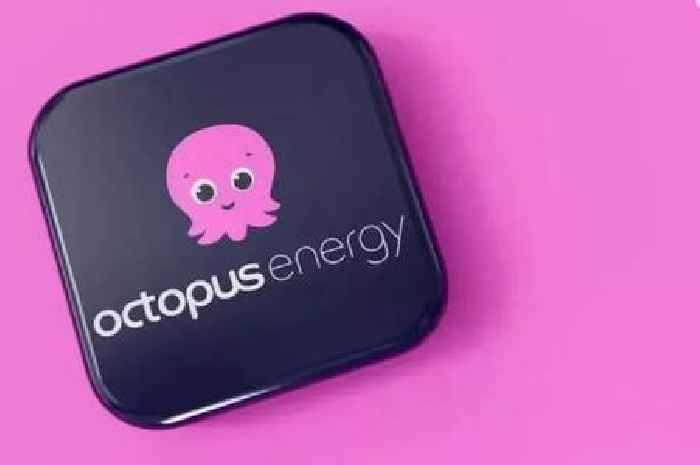 Octopus energy trick gets new and existing customers £50 - how to claim