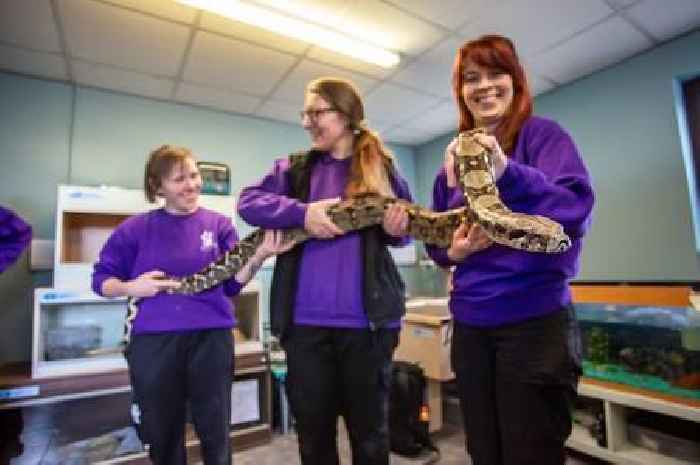 'Handsome and muscular' 3ft snake Jason MaBoa looking for new home after being abandoned