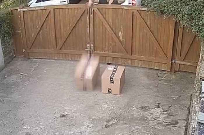 Yodel driver chucked boxes of breakable figurines over 6ft gate