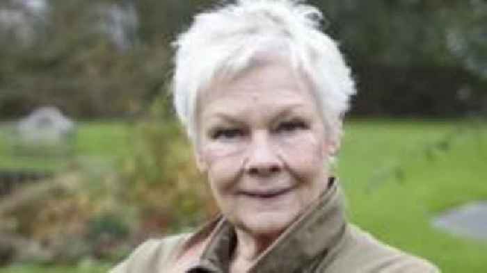 Judi Dench calls for cathedral trees to be saved