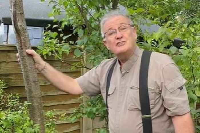 Gardening expert shares 'crucial' key sign to look for when buying fruit trees