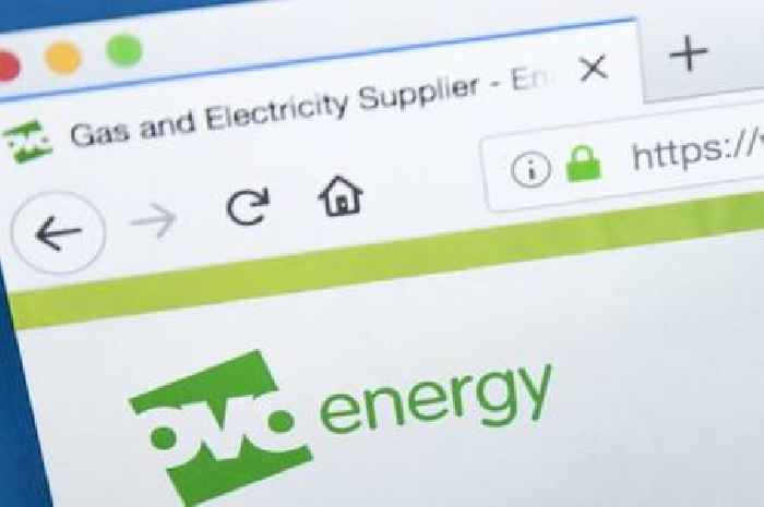 OVO will pay automatic £271 payment into energy customers' bank accounts