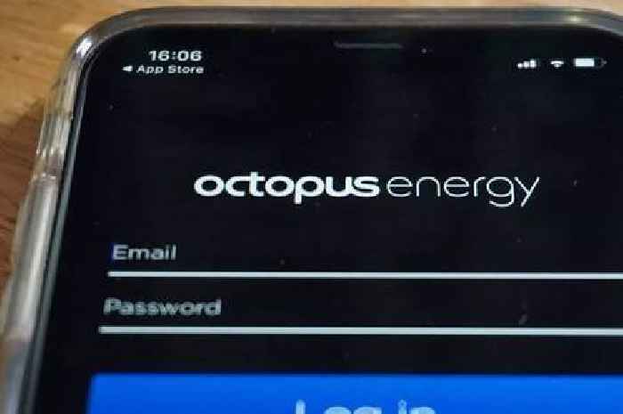 Octopus Energy handing state pensioners who lost Winter Fuel Payment free £300