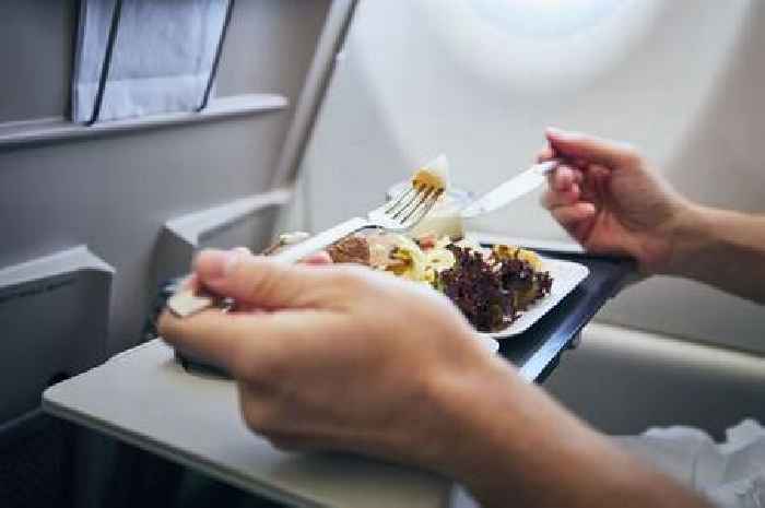 Airlines with the worst plane food ranked as one serves 'world's best meals'