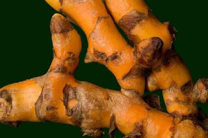 Nutrition expert says we all need to eat more turmeric this autumn