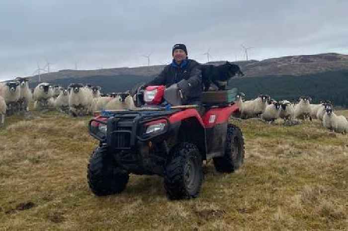 Glenkens hill farmer urges people to have their say on forestry planting scheme