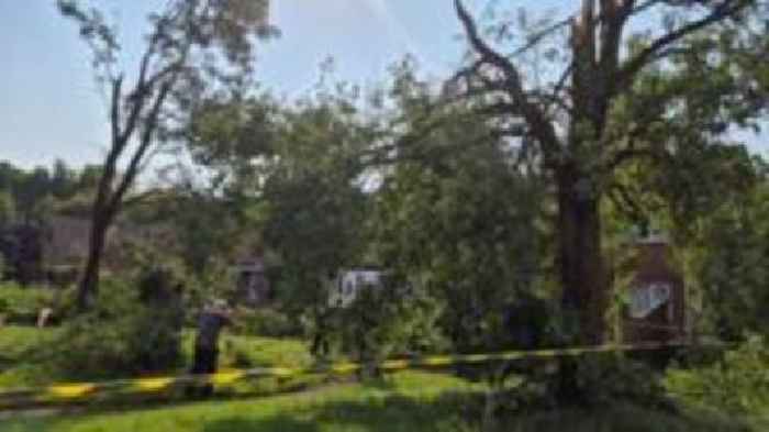 Tornado in Hampshire damages properties and blows over trees