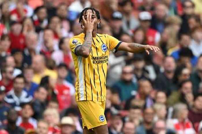 Brighton issue key Joao Pedro fitness update ahead of Nottingham Forest clash