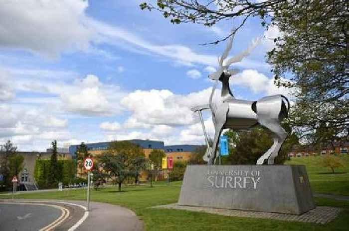 University of Surrey named one of the best for student experience in Sunday Times Good University Guide