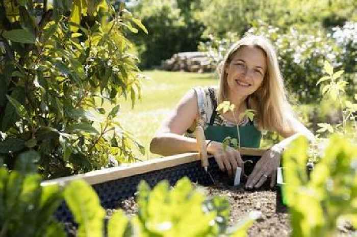 People with these common garden plants urged to act now to keep them disease free