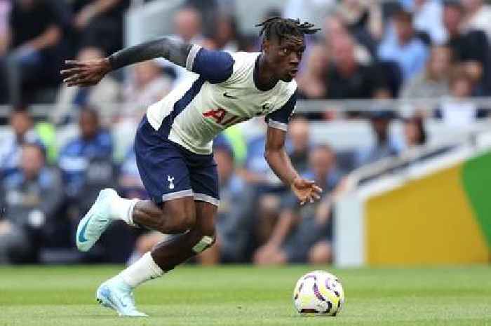 Bissouma injury wait, Bergvall call - The Tottenham team Ange Postecoglou must pick vs Brentford