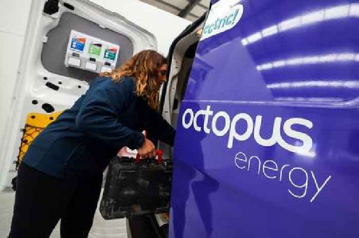 Octopus Energy issues key message to customers who qualify for £150 payment