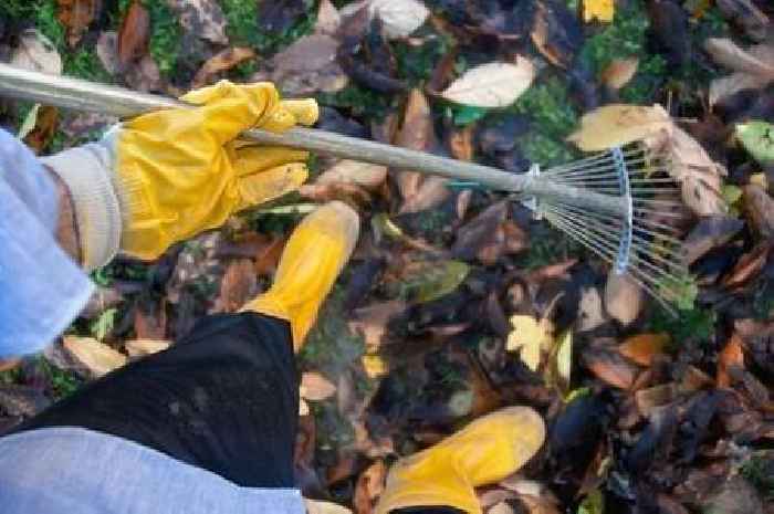 Gardening expert says there's one thing you shouldn't throw away as it helps plants thrive