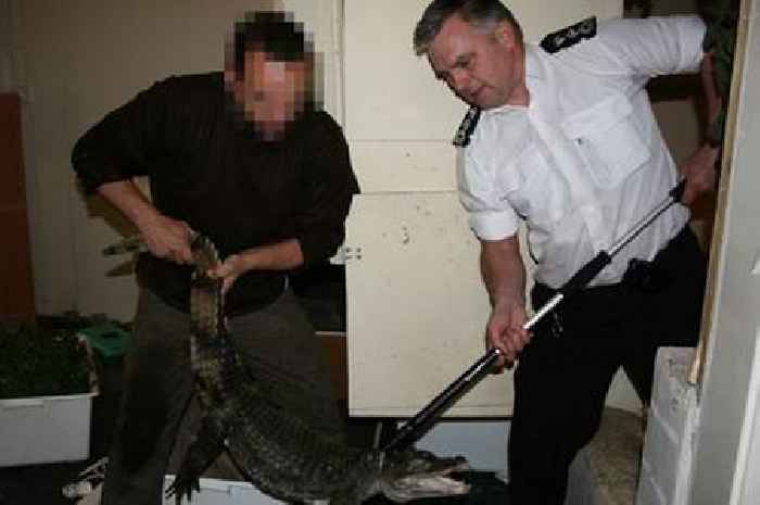 'I found an alligator in a car boot and an ostrich walking down the street' SSPCA chief retires after 37 years