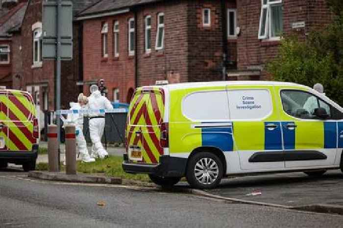 Bodies of woman and eight-year-old girl found at house