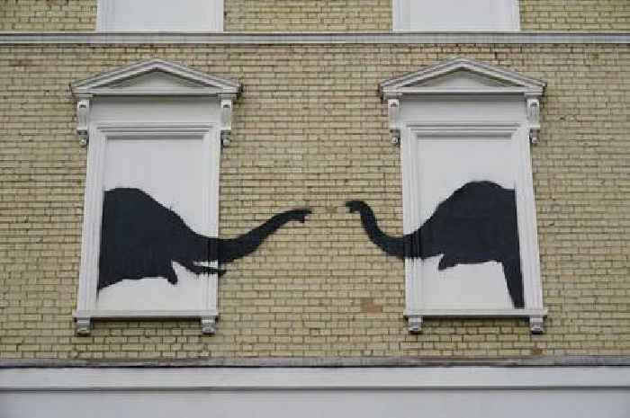 Banksy's elephant artwork restored and protected after being vandalised