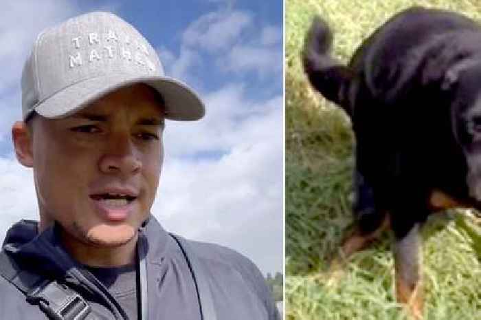 Jermaine Jenas breaks silence on BBC scandal as 'sh*tting' dog distracts viewers