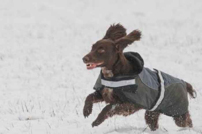 UK set for -3C snow within days and 'four places' could be worst hit