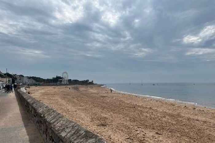 Eight Devon beaches hit with sewage alerts after heavy rain