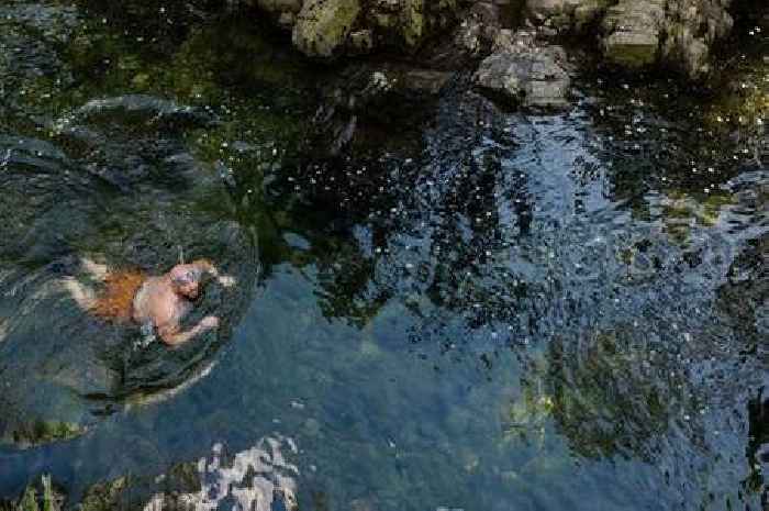 Couple jump into stunning jungle stream - then realise they've made a huge mistake