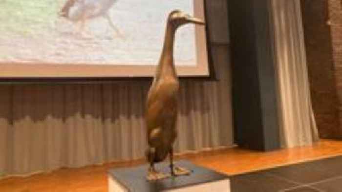 Statue of missing duck unveiled live on Radio 1