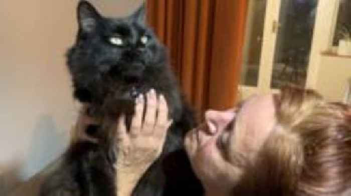 Woman reunited with missing cat after six years