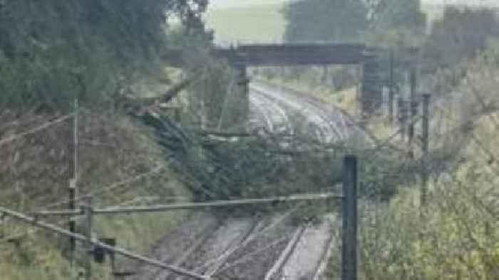 Fallen tree blocks West Coast Main Line in south of Scotland