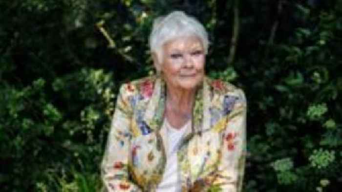 Dame Judi Dench and John Cena to voice Meta AI chatbot