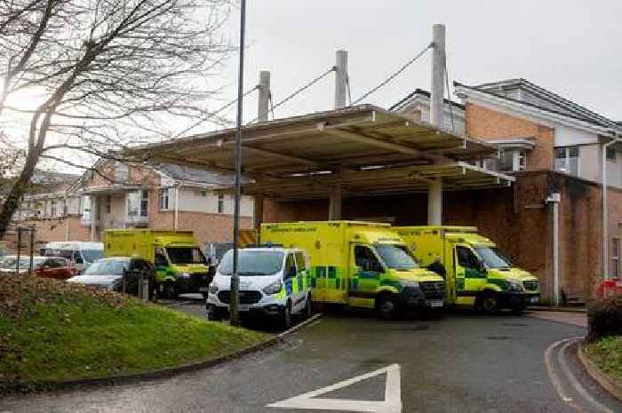 'Extended wait' warning as A&E departments 'exceptionally busy'