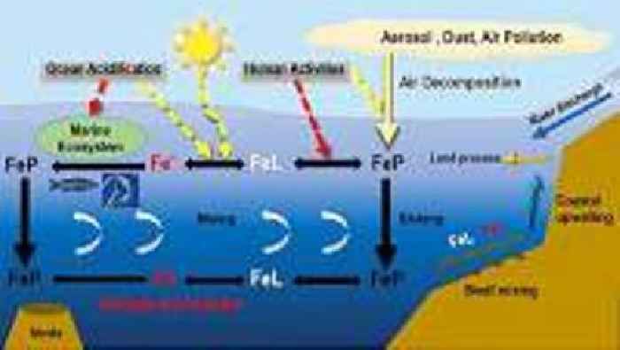 Deep-sea study reveals iron limitations in ocean's twilight zone