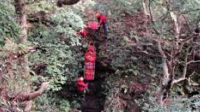 Dog walker falls down 32ft ravine on forest walk