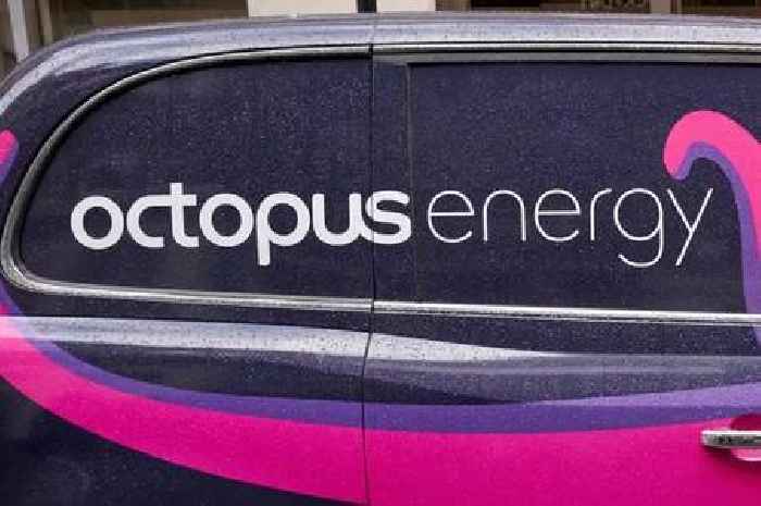 Octopus cuts UK households' energy bills to £0 for 'five years'