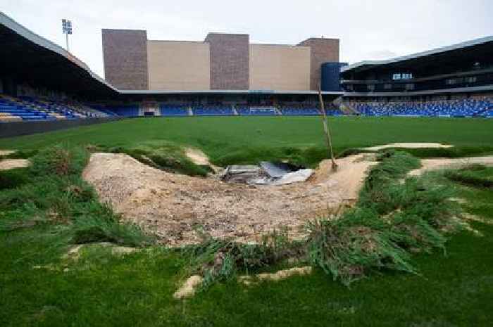 Celtic lead AFC Wimbledon pitch fund donations as Scottish clubs dig deep to help fund Plough Lane flood repairs