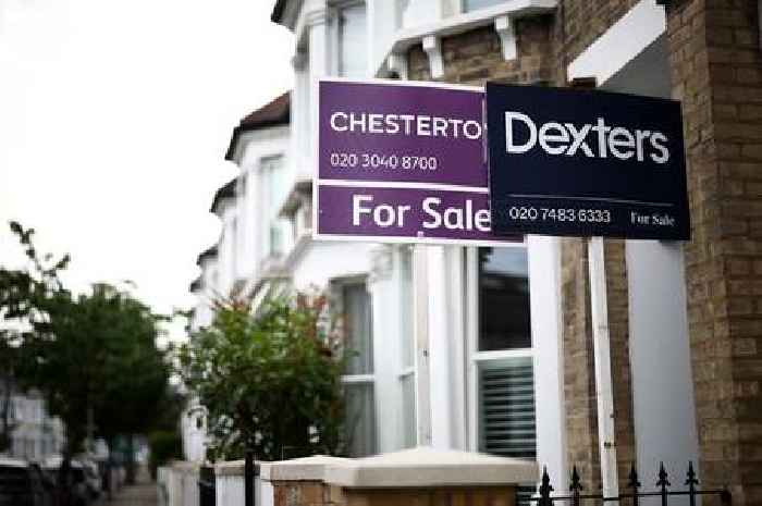 House sales 5% higher than year ago as mortgage lenders cut rates