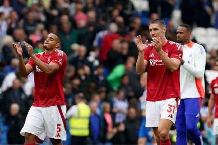 Nottingham Forest have found a partnership they have been waiting years for