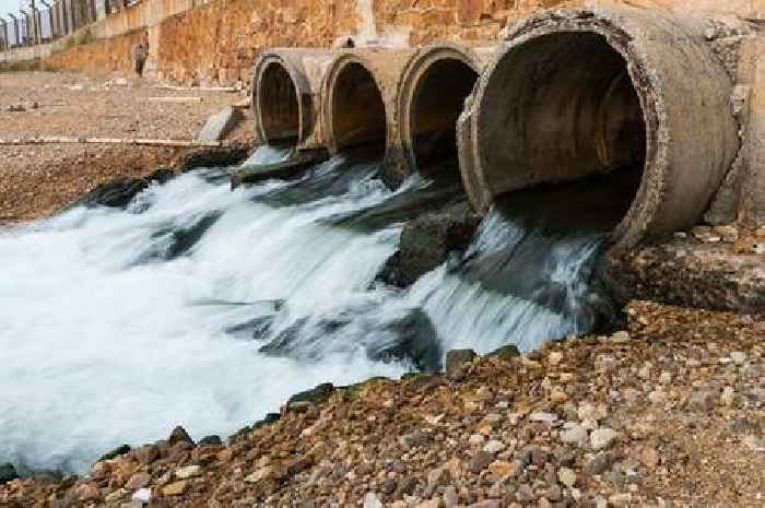 10 Kent beaches hit with weekend sewage warnings after week of rain