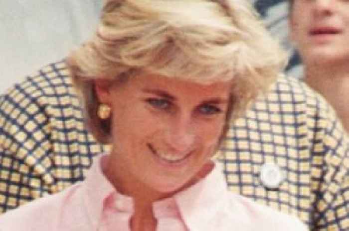 Mohamed Al Fayed made indecent proposal that left Princess Diana 'shaking'