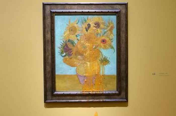 Woman from Cornwall charged after soup thrown at Van Gogh paintings