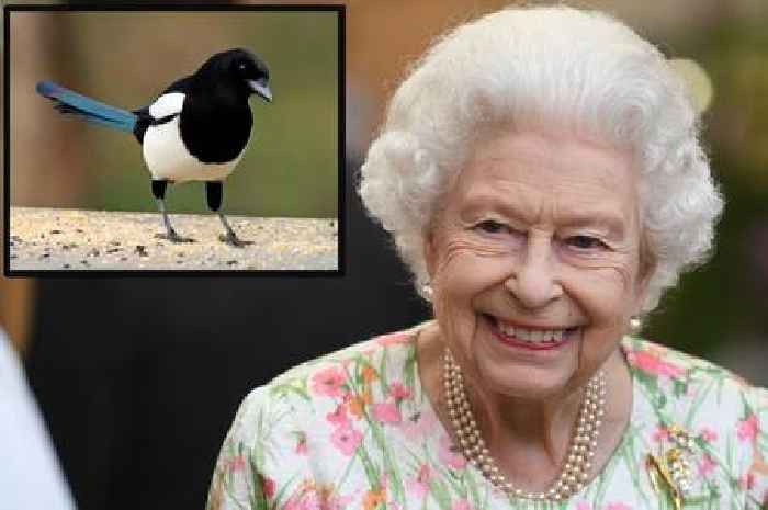 Late Queen and David Attenborough named among greatest UK cultural figures