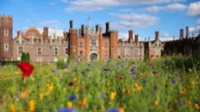 Development near palace 'a festering wound'