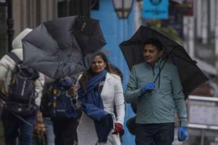 Midlands hit by Met Office yellow warning for 'persistent' and 'heavy' rain