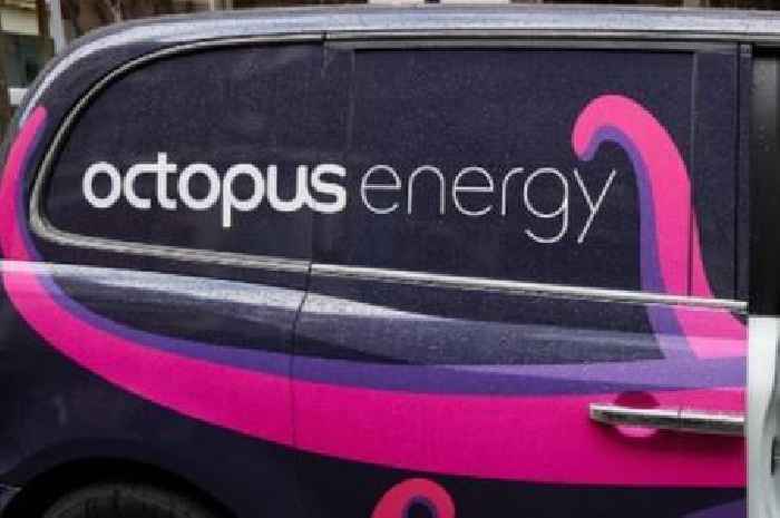 Octopus Energy sends 24-hour warning to millions of customers