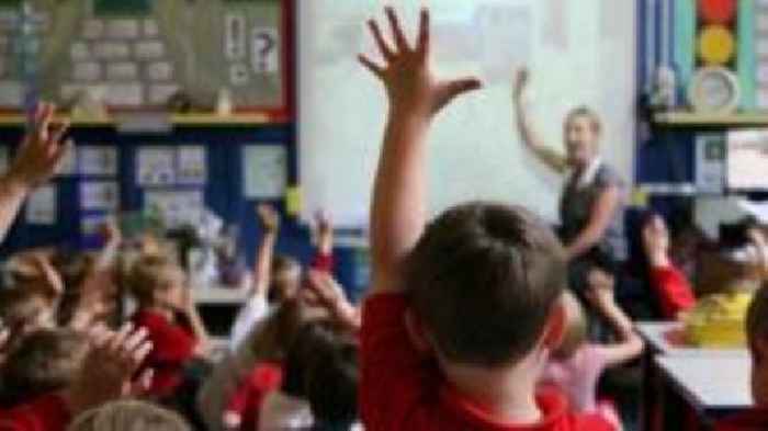 Irish school plan causing 'volatility', says loyalist leader