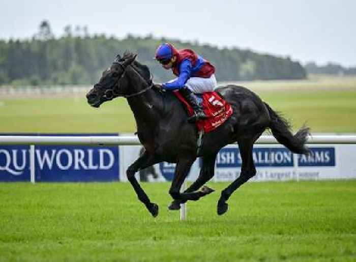 Los Angeles ticks Arc boxes for all-powerful Ballydoyle