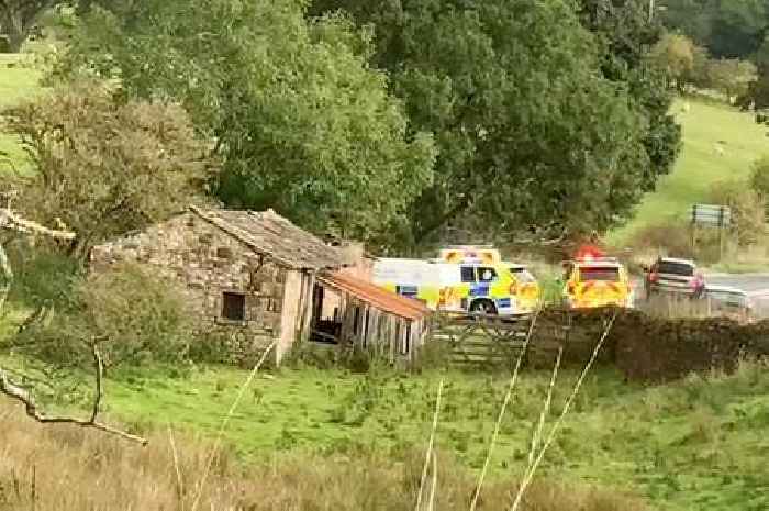 Pictured - eight-year-old boy killed in farm shooting as tributes paid