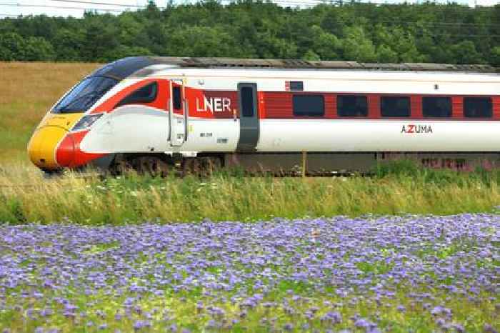 LNER: Strikes and storms cost train line over £50m