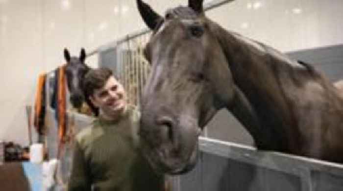 Horse who led Queen's coffin given ‘OBE for animals'