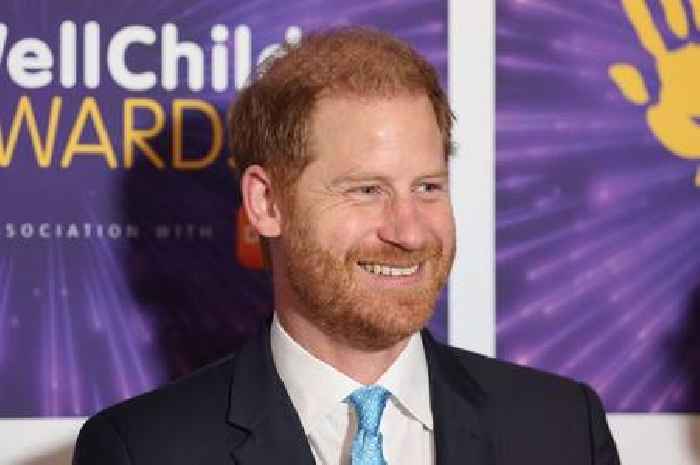 Prince Harry reveals humorous parenting tactic with daughter Lilibet's 'loveys'